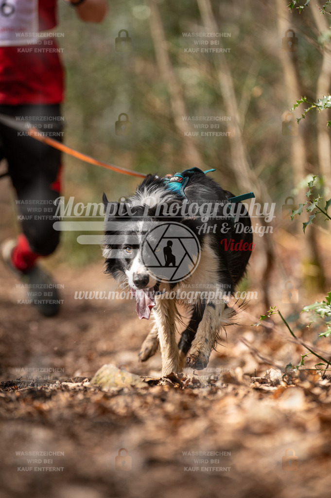 SPA_2023_DIM_Fun-18 | PayLife