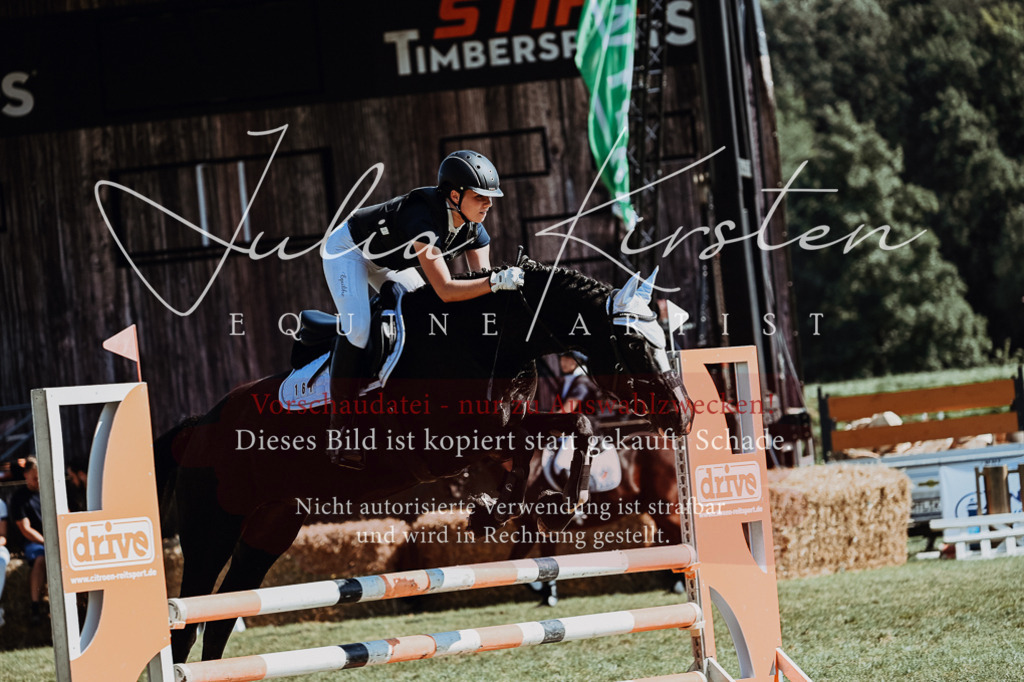 DSC_6649 | Pferde- und Turnierfotografie in Westsachsen. Pferdeportraits, Auftragszeichnungen und intuitive Kunst.