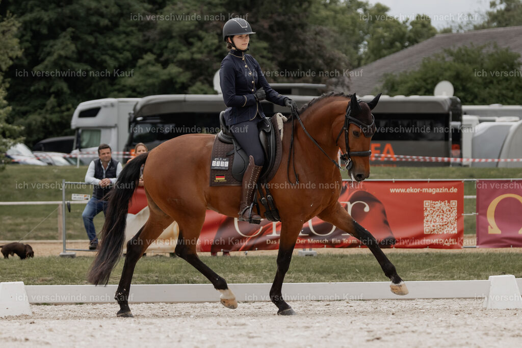 WE_DR_Stoib_335_PI2025_394 | Pferd International München 2025