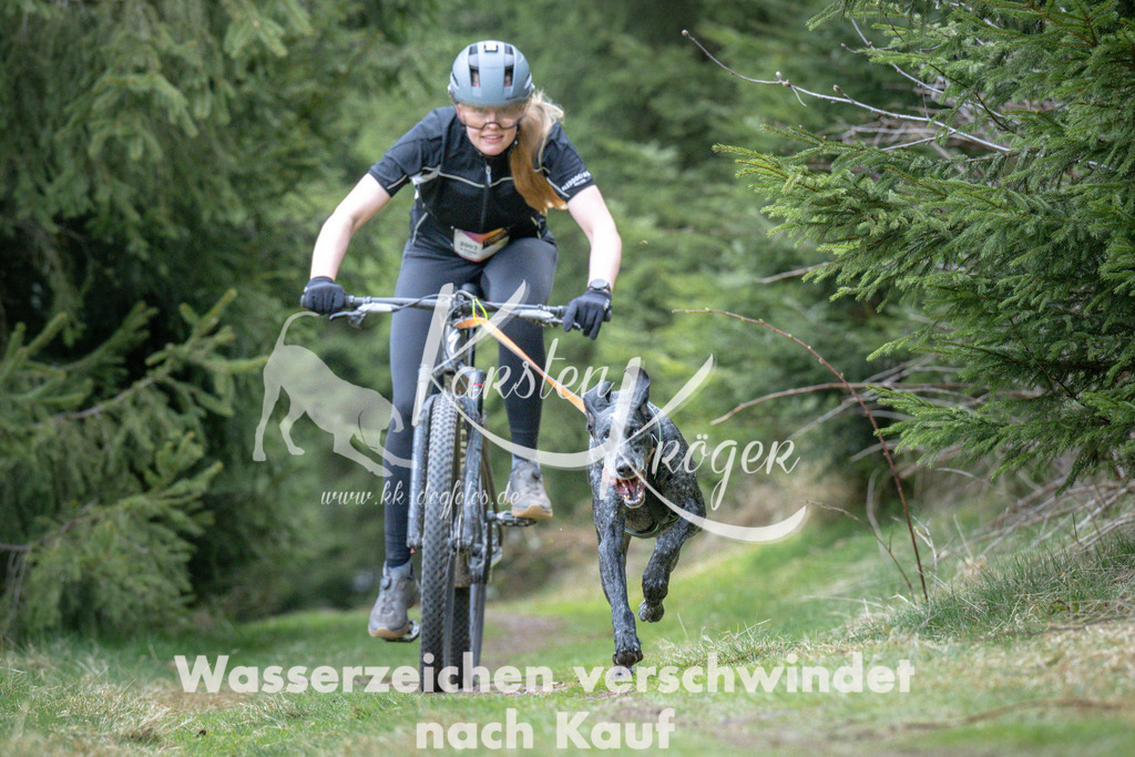 1310_ZZ93832 | kk-dogfotos