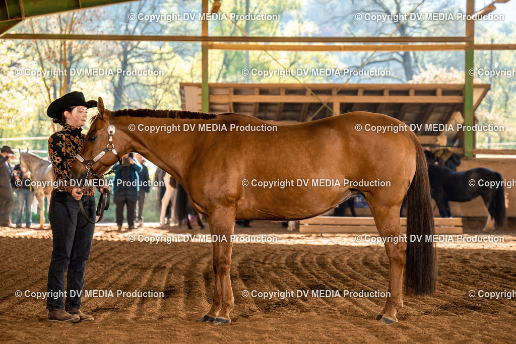 Balingen Tag 1-07 | dv-media-shop - Realisiert mit Pictrs.com