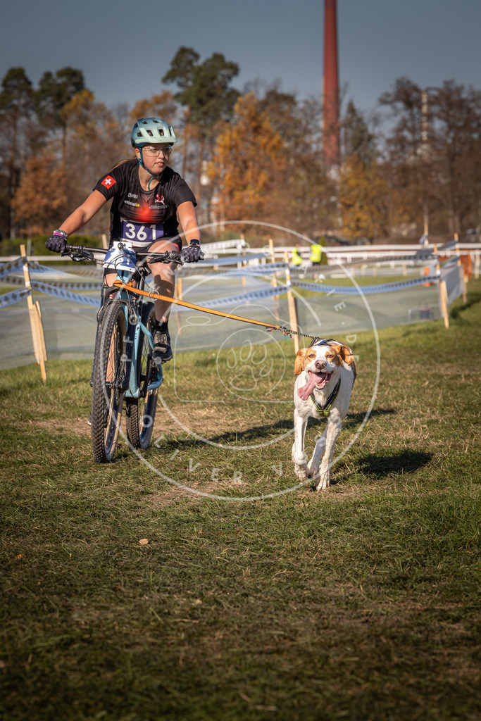 CaniXpix_0L8A6226 | Hundefotografie, Tierfotograf, Pfotenfotografie, Fotoshooting Hund, Hunde Portrait, Hundesport, Hundeportraits, Heideshooting, Hunde, Sportfotograf, Hundefotograf, Turnierhundsport, THS,  - Realisiert mit Pictrs.com