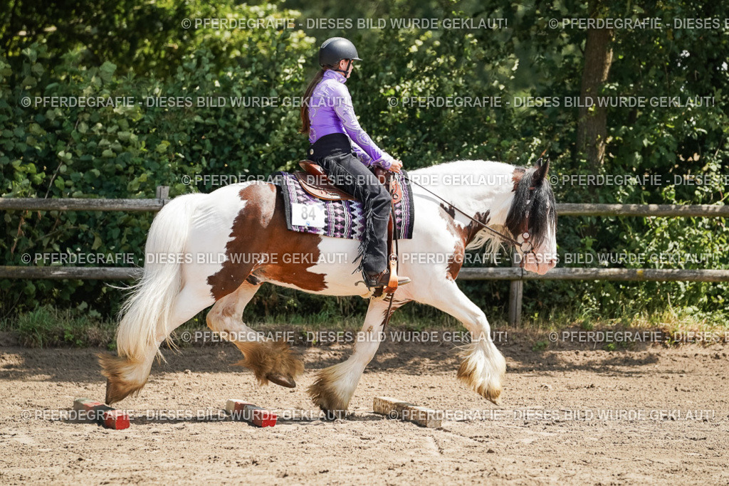 DSC07532 | Pferdegrafie