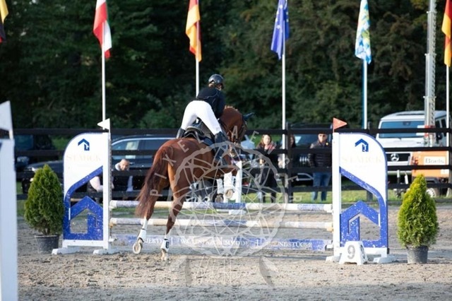 2B4A3955 | pixelfaenger - Realisiert mit Pictrs.com