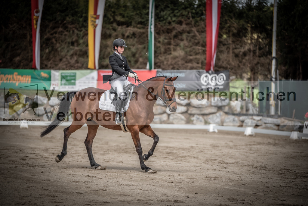 DSC_2404 | equestrian-live-com