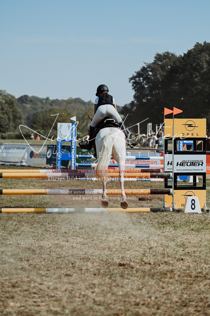 DSC_9825 | Pferde- und Turnierfotografie in Westsachsen. Pferdeportraits, Auftragszeichnungen und intuitive Kunst.