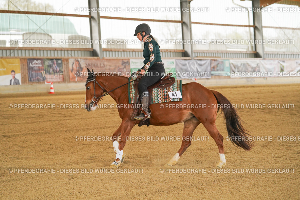 DSC08131 | Pferdegrafie