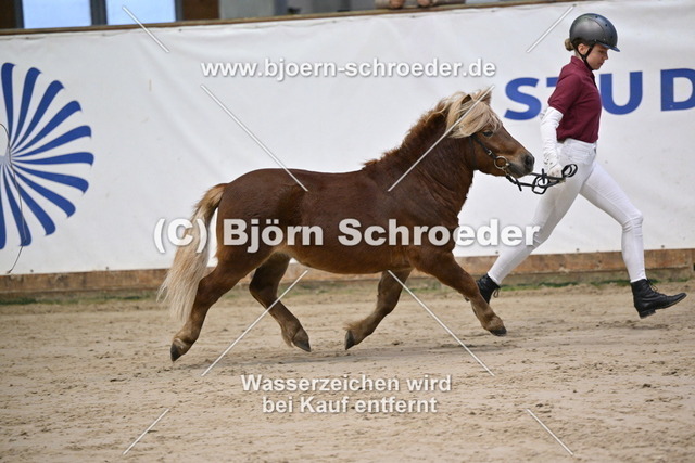 24_Butschmann - Bel Ami_963_0485 | Björn Schroeder Pferdefotografie