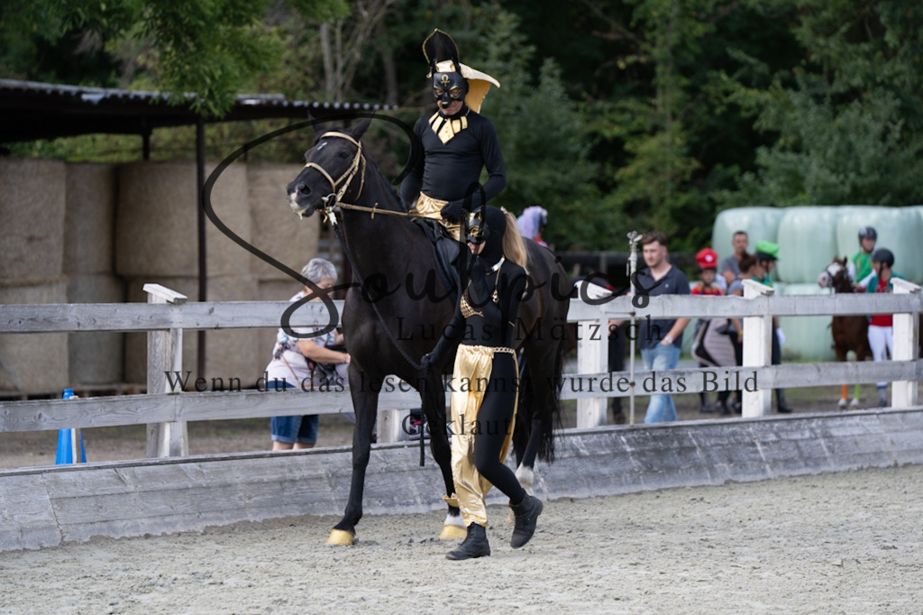 A7V07474 | Pferdefotograf