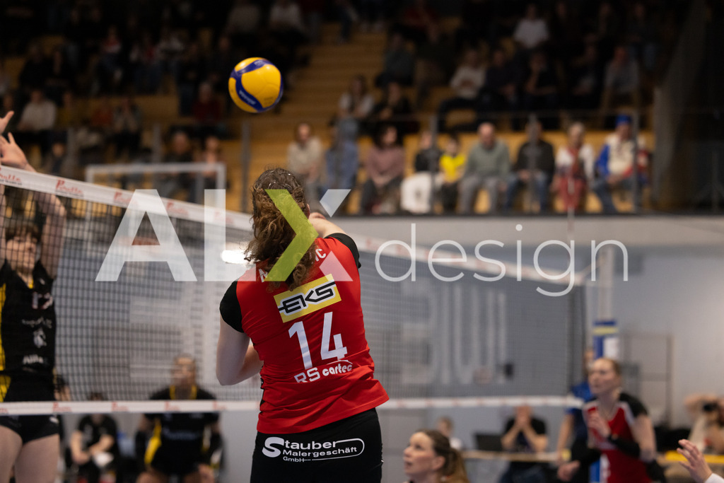 Volleyball I Frauen I Saison 2025-2026 I Volleyball NLA | Women I 1/4 Finals I  BIWI VFM - VC Kanti Schaffhausen I 01.03.2026 | 14 Josipa Marković (HR) (VC Kanti Schaffhausen) – Aussen - Realisiert mit Pictrs.com