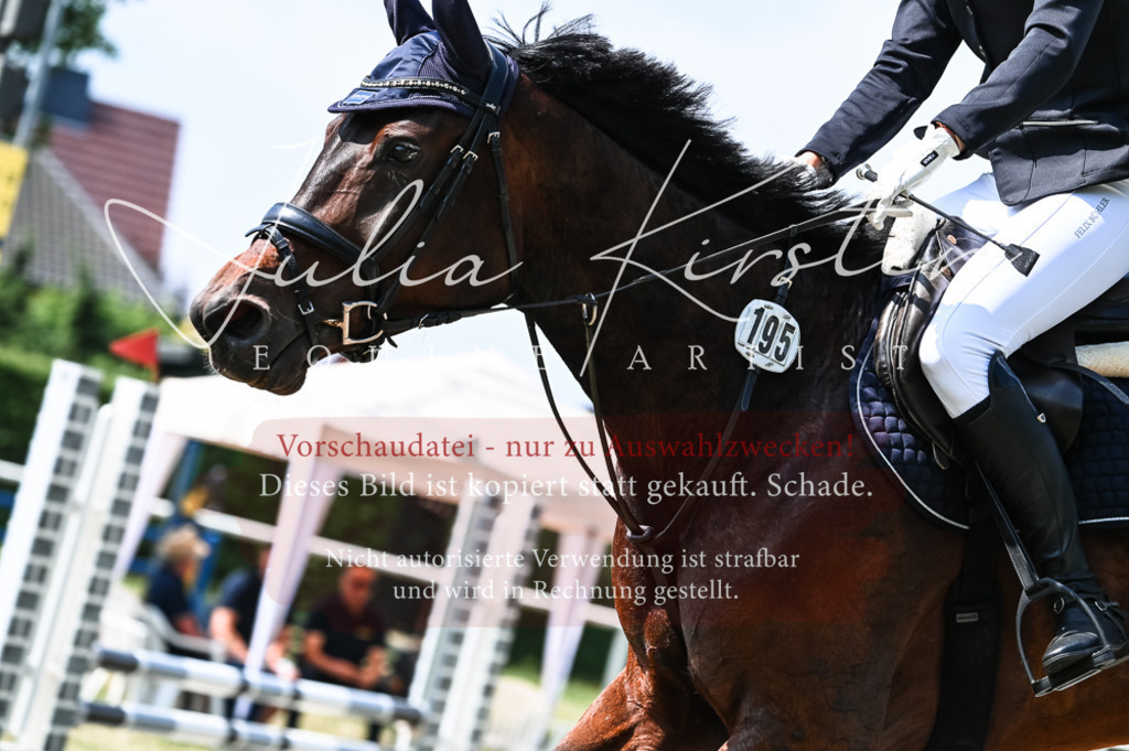 DSC_8769 | Pferde- und Turnierfotografie in Westsachsen. Pferdeportraits, Auftragszeichnungen und intuitive Kunst.