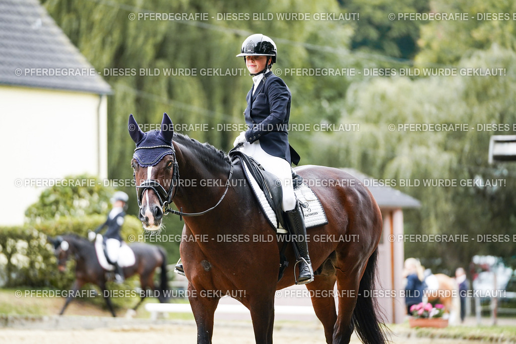 DSC01801 | Pferdegrafie