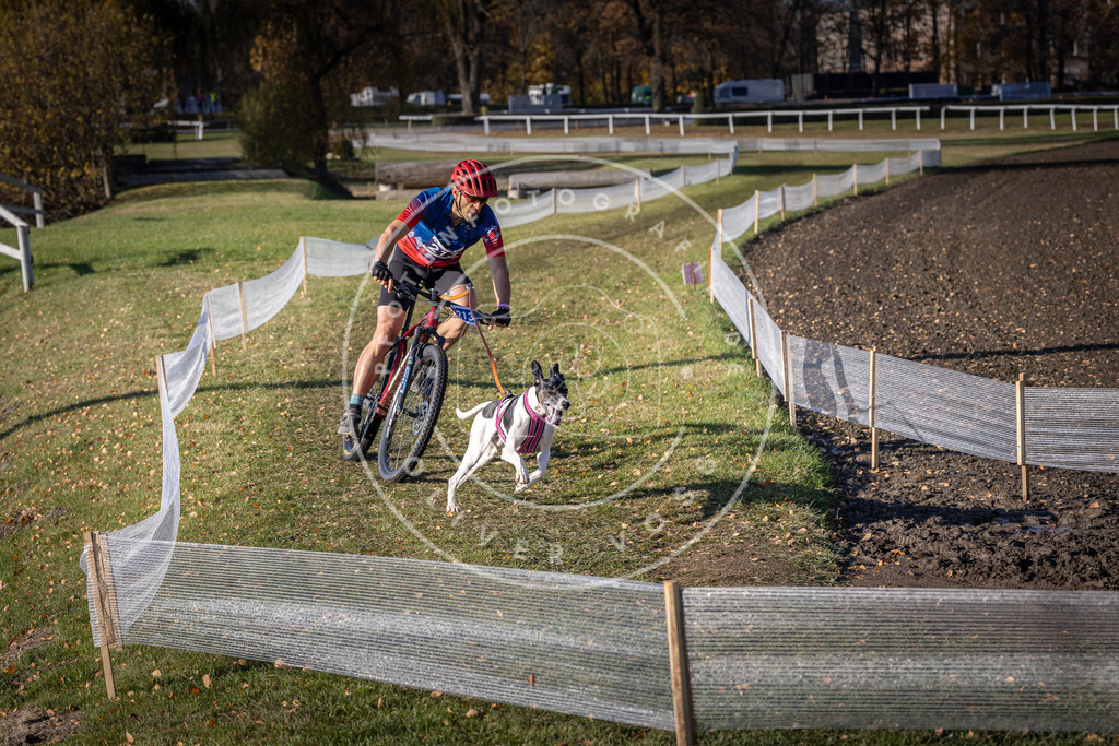 CaniXpix_DV3A3187 | Hundefotografie, Tierfotograf, Pfotenfotografie, Fotoshooting Hund, Hunde Portrait, Hundesport, Hundeportraits, Heideshooting, Hunde, Sportfotograf, Hundefotograf, Turnierhundsport, THS,  - Realisiert mit Pictrs.com