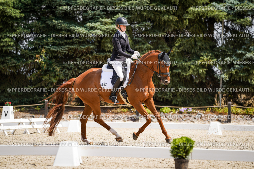 DSC00877 | Pferdegrafie