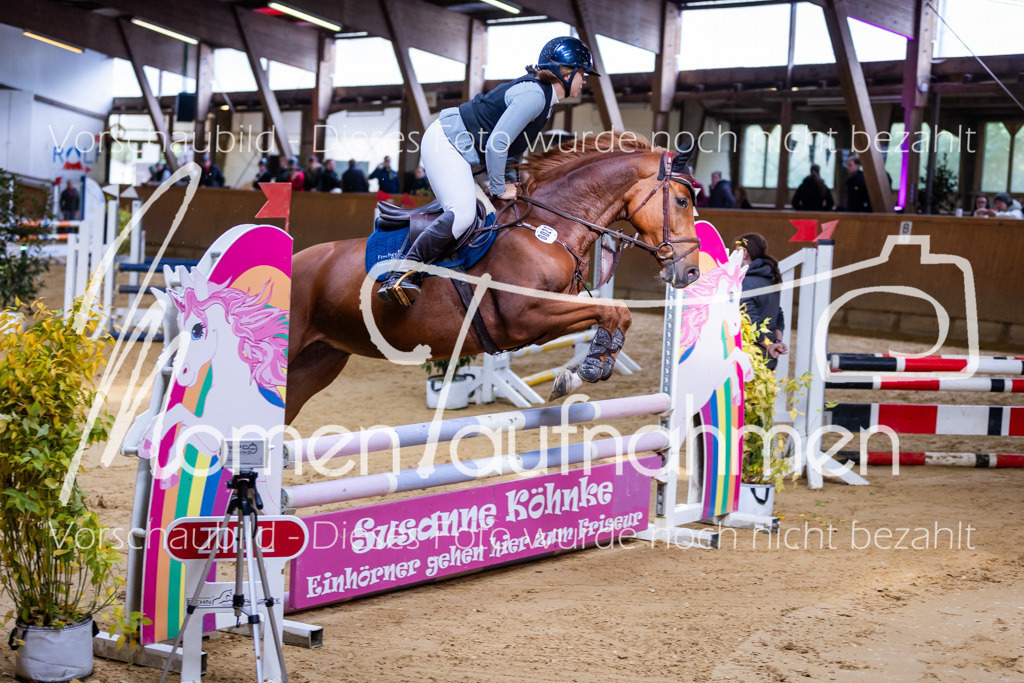 Sth-A-Springen-016 | MomenTaufnahmen Pferdesportfotos