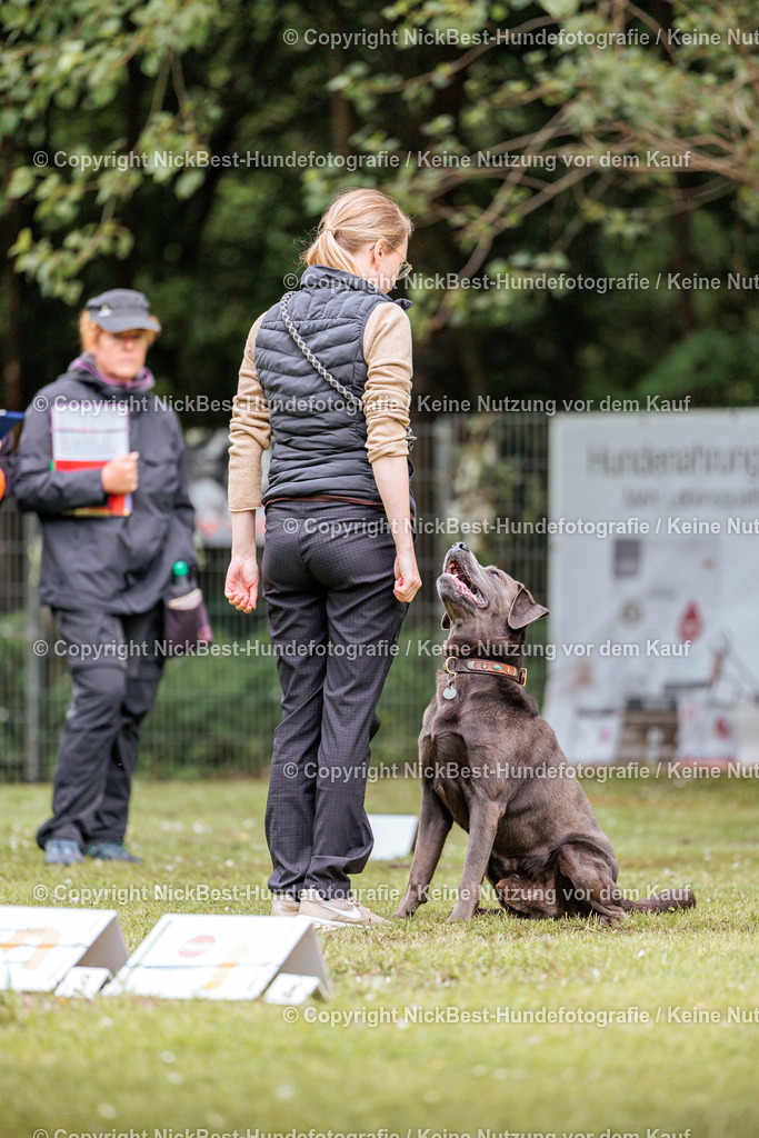 RO-Blumenthal-2026-Nickbest-Hundefotografie-2986 | Dein Hund! Dein Moment! Deine Erinnerungen! Hundefotografie in Bremen Blumenthal. Ich fange die besonderen Momente deines Vierbeiners ein – ob Indoor mit Blitzanlage oder in der freien Natur. Sicher dir dein Moment und dein Termin für eure Erinnerungen.