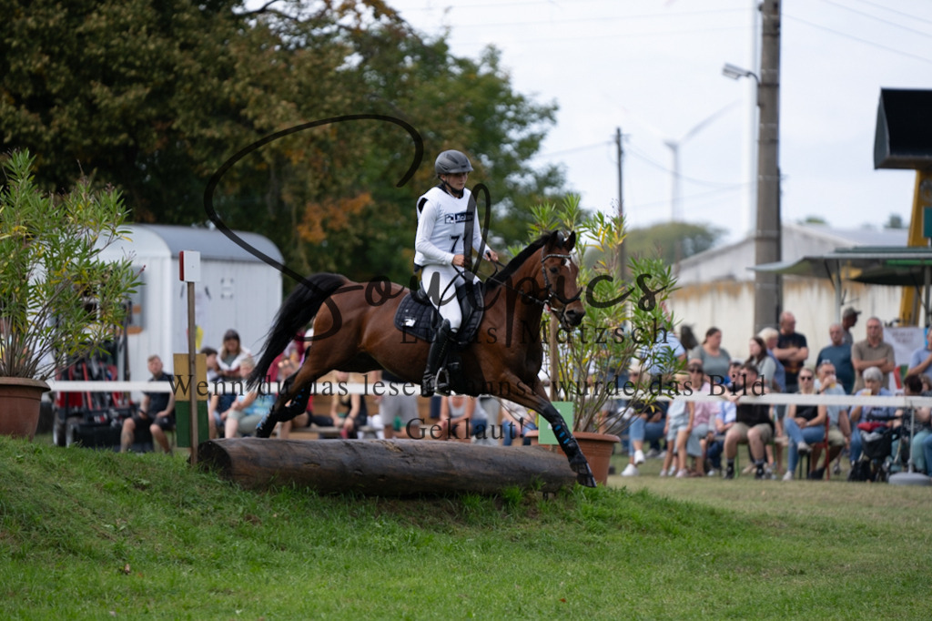 A7V03766 | Pferdefotograf