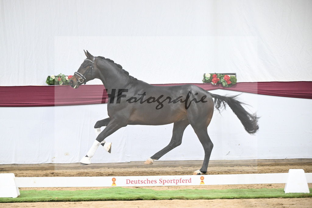 Kat-Nr. 114 Escaneno x Dr. Jackson D_Drews Reutalmuehle eGbR_47253648 | hf-fotografie - Realisiert mit Pictrs.com