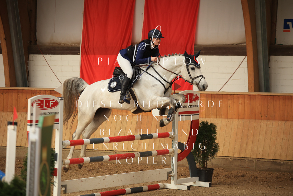 IMGT1192 | pl-fotografie