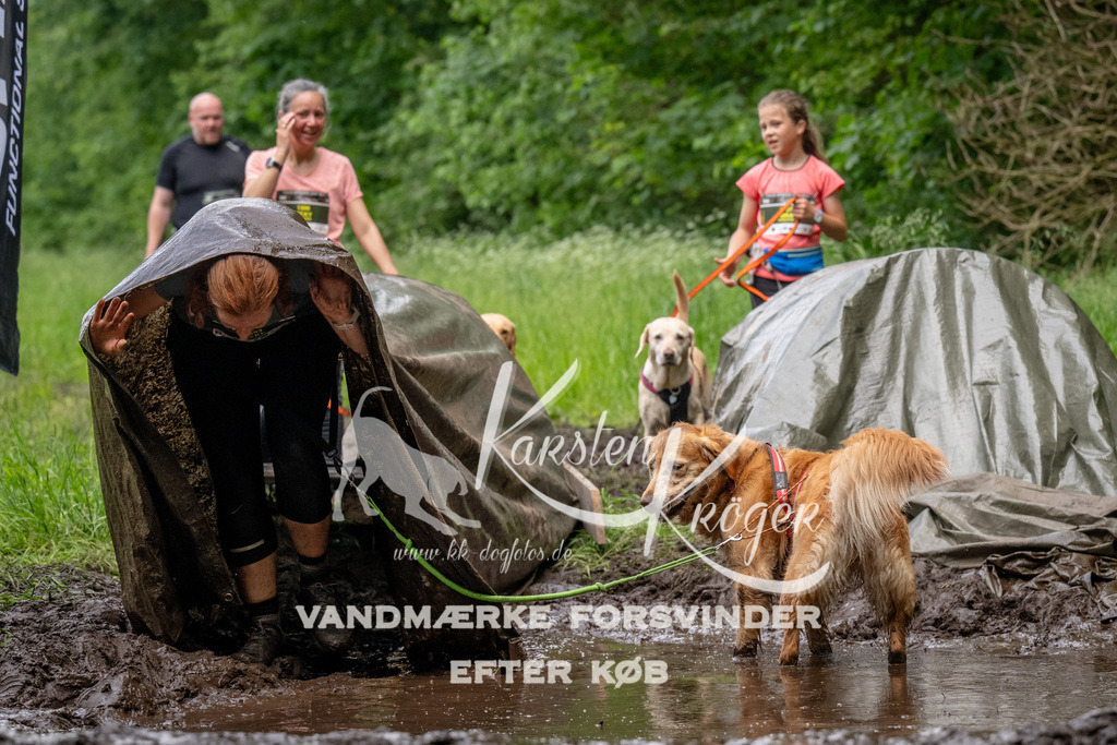1530_ZZ93863 | kk-dogfotos