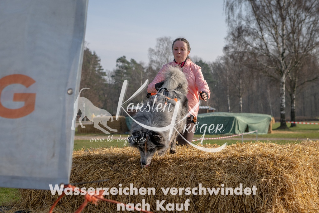 _ZZ94314 | kk-dogfotos