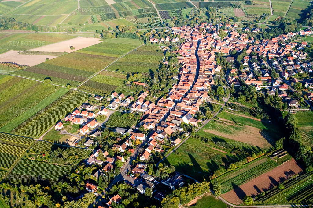 Luftbild: Ortschaft von Südwesten in Göcklingen im Bundesland Rheinland-Pfalz in Deutschland. Foto: IMG_13704.jpg vom 28.09.2008 durch Werner Riehm/FLY-FOTO.de