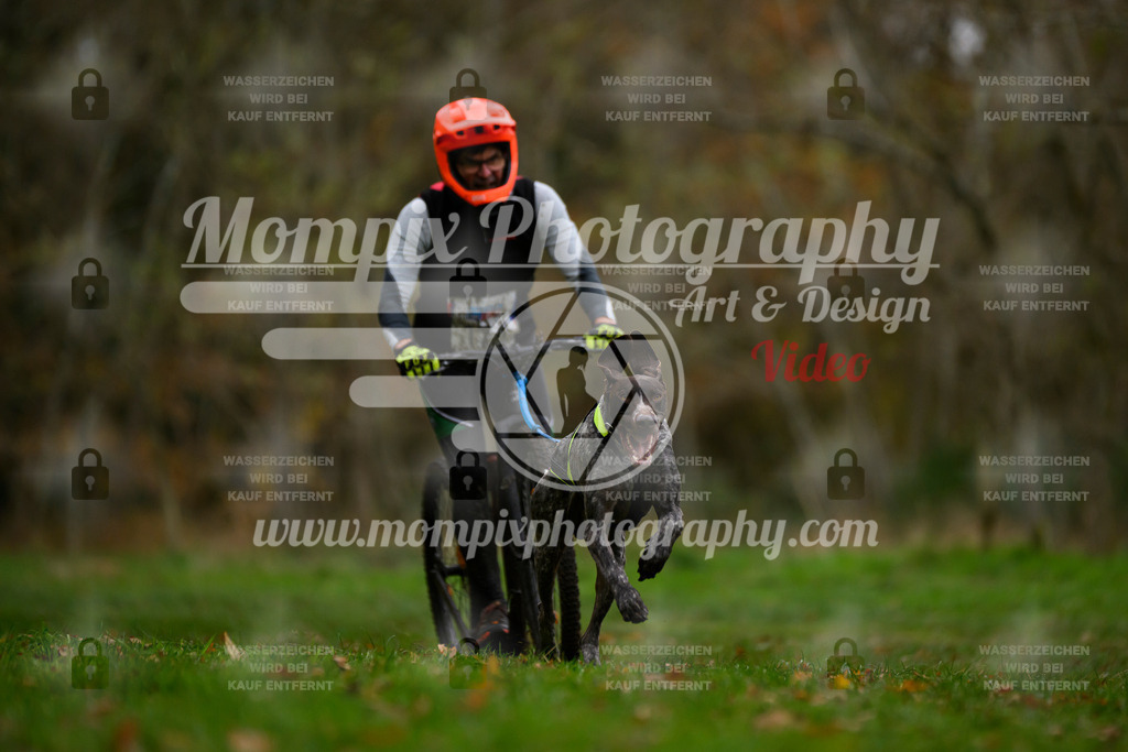 MompixPhotography_Bischwiller24_SA_DS1-4 | PayLife