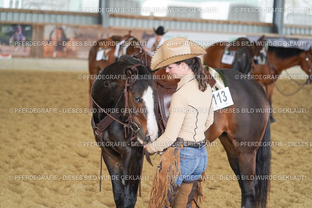 DSC06519 | Pferdegrafie