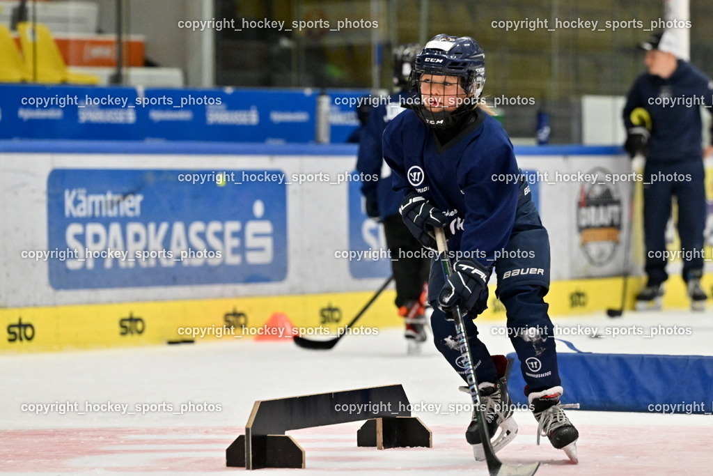 Z9B_1879 | hockey sports photos, Pressefotos, Sportfotos, hockey247, win 2day icehockeyleague, Handball Austria, Floorball Austria, ÖVV, Kärntner Eishockeyverband, KEHV, KFV, Kärntner Fussballverband, Österreichischer Volleyballverband, Alps Hockey League, ÖFB, 