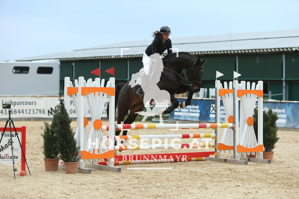 DL2Q1902 | Willkommen bei Brunnmayr - Design & Fotografie – Ihrem Spezialisten für Reitturniere und Pferdeveranstaltungen in Oberösterreich, Salzburg und Bayern! Seit über 17 Jahren sind wir leidenschaftlich dabei.