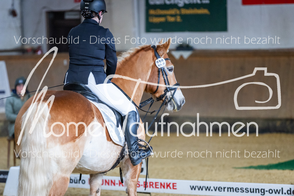 Sth-WBO25-DrR-160 | MomenTaufnahmen Pferdesportfotos