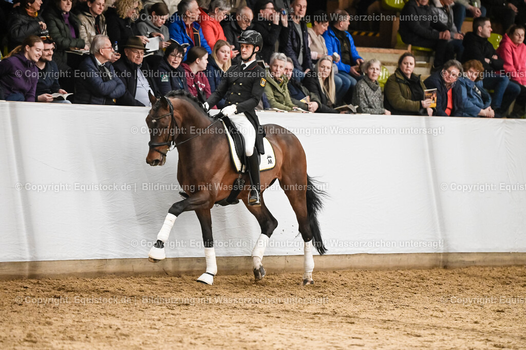 20260307_Hengstvorstellung-Marbach_0334 | equistock