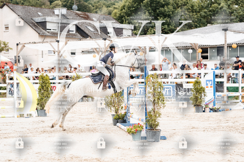 CK908063 | Turnierfotografie Pferdefotografie Trier Rheinland-Pfalz Pferdesport Reitsport Tierfotografie Sportfotografie Pferdevideo Pferdevideografie Equestrianvideography equestrianphotography  - Realisiert mit Pictrs.com