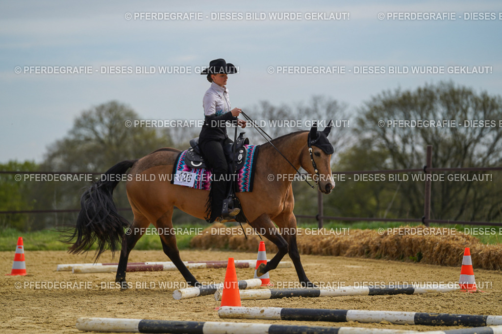 DSC03724 | Pferdegrafie