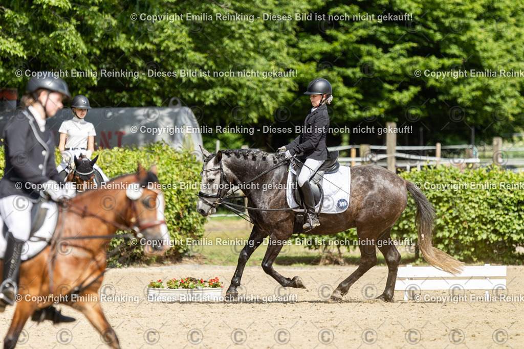 CL5A1167 | Emilia Reinking Fotografie - Realisiert mit Pictrs.com