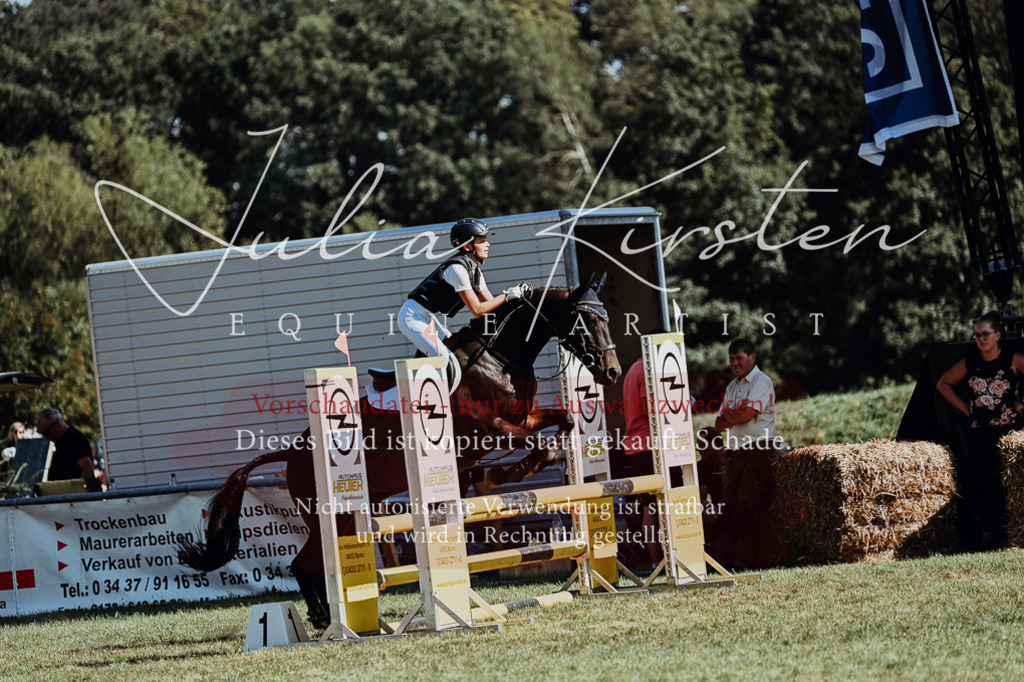 DSC_6769 | Pferde- und Turnierfotografie in Westsachsen. Pferdeportraits, Auftragszeichnungen und intuitive Kunst.