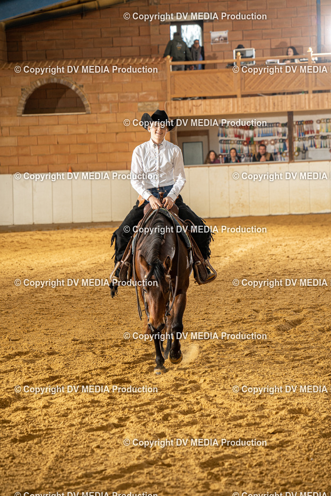 MIT00742 | dv-media-shop - Realisiert mit Pictrs.com