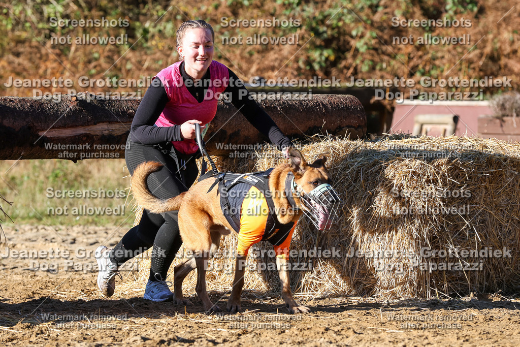 Dog Paparazzi - Strongdog 10-25-1828 | Dog Paparazzi Jeanette Grottendiek Fotografie & Videografie - Realisiert mit Pictrs.com