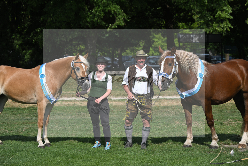 Kat-Nr. 9 Giorgia G u 51 Finesse G_Grandauer_20231828 | hf-fotografie - Realisiert mit Pictrs.com