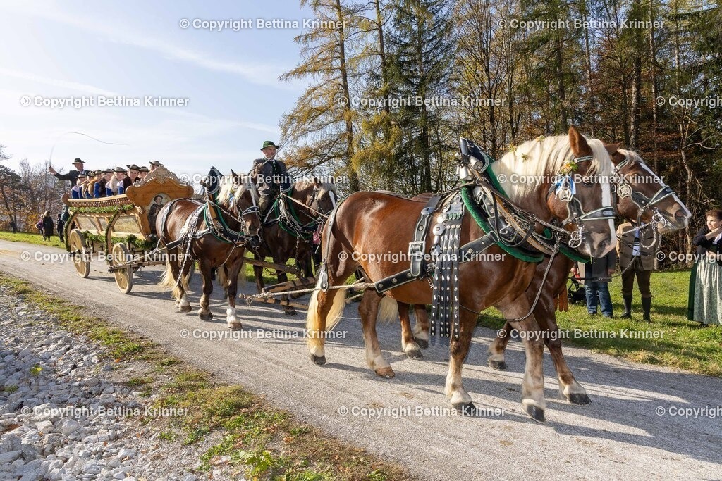 LBT24-1577 | foto-bettina-krinner - Realisiert mit Pictrs.com