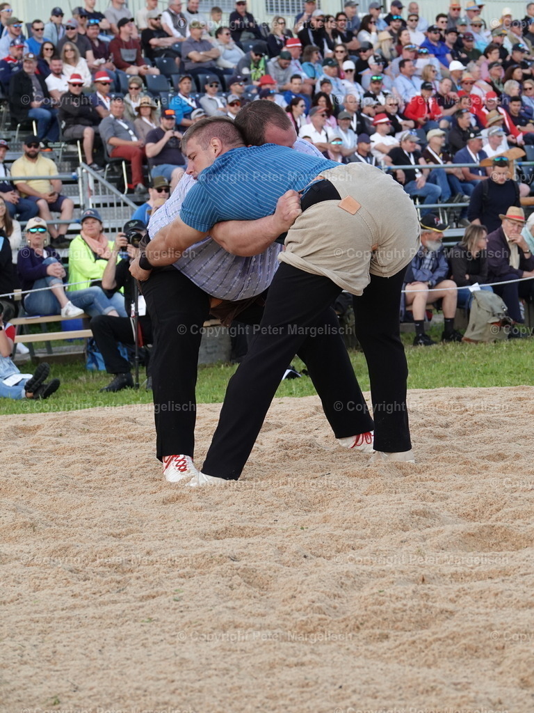 DSC06626 | Schwingen - Realisiert mit Pictrs.com