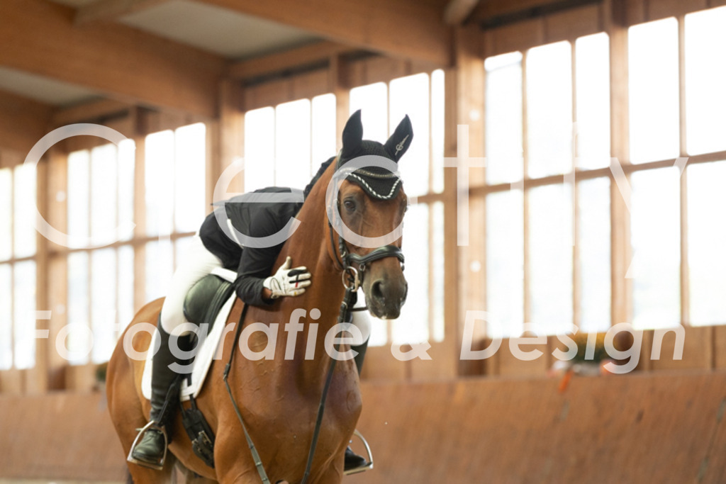 IMG_1790 | Creatify Fotografie