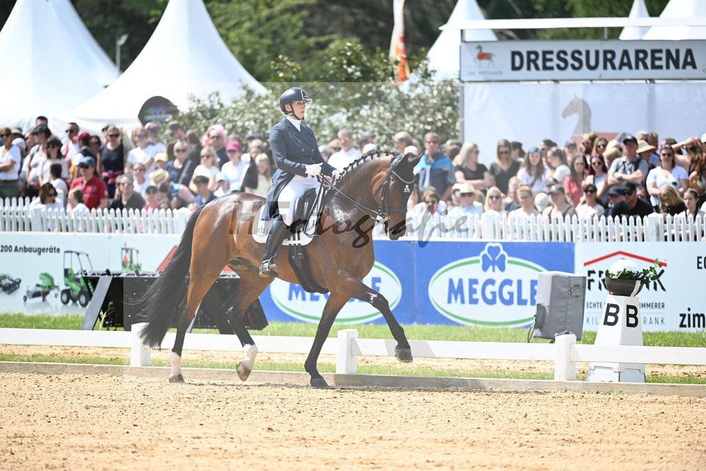 Balkenhol_High Five FRH_12244190 | hf-fotografie - Realisiert mit Pictrs.com