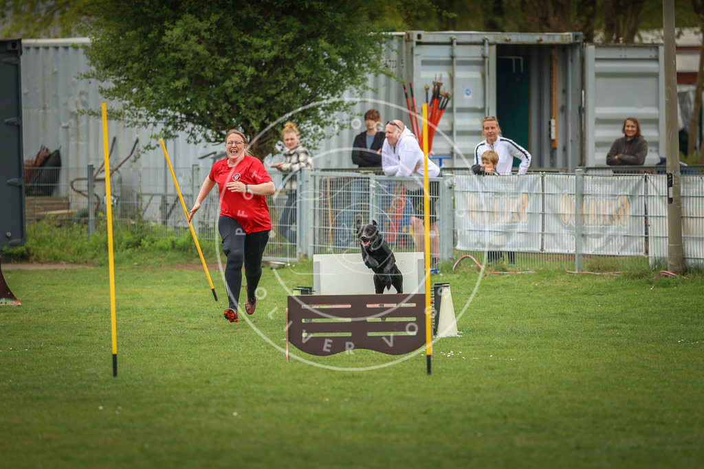 Pfotenfotografie_0L8A1818 | Hundefotografie, Tierfotograf, Pfotenfotografie, Fotoshooting Hund, Hunde Portrait, Hundesport, Hundeportraits, Heideshooting, Hunde, Sportfotograf, Hundefotograf, Turnierhundsport, THS,  - Realisiert mit Pictrs.com