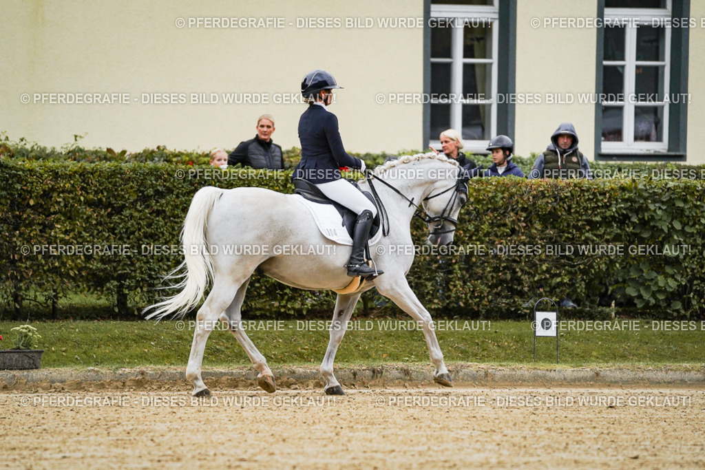 DSC06499 | Pferdegrafie