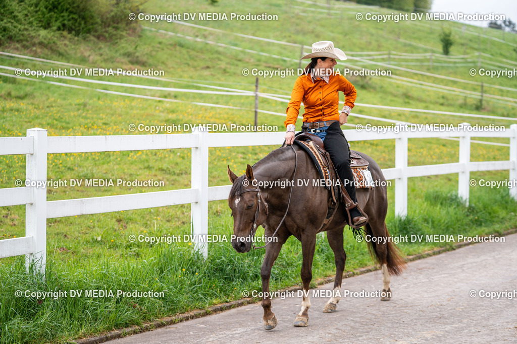 Heiligenwald Tag 1-365 | dv-media-shop - Realisiert mit Pictrs.com