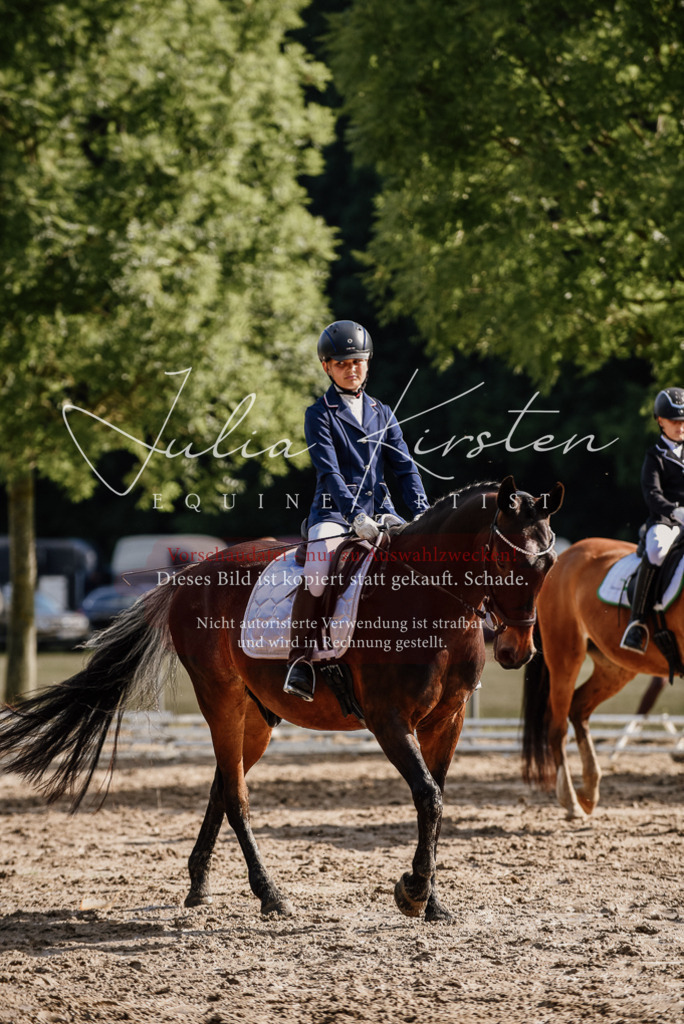 DSC_9106 | Pferde- und Turnierfotografie in Westsachsen. Pferdeportraits, Auftragszeichnungen und intuitive Kunst.