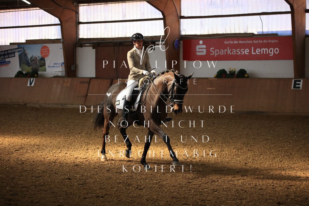 IMGT2632 | pl-fotografie