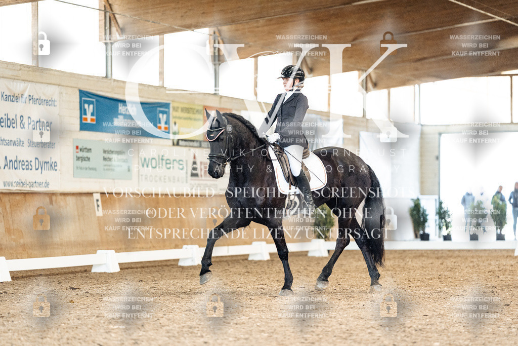 CK909798 | Turnierfotografie Pferdefotografie Trier Rheinland-Pfalz Pferdesport Reitsport Tierfotografie Sportfotografie Pferdevideo Pferdevideografie Equestrianvideography equestrianphotography  - Realisiert mit Pictrs.com