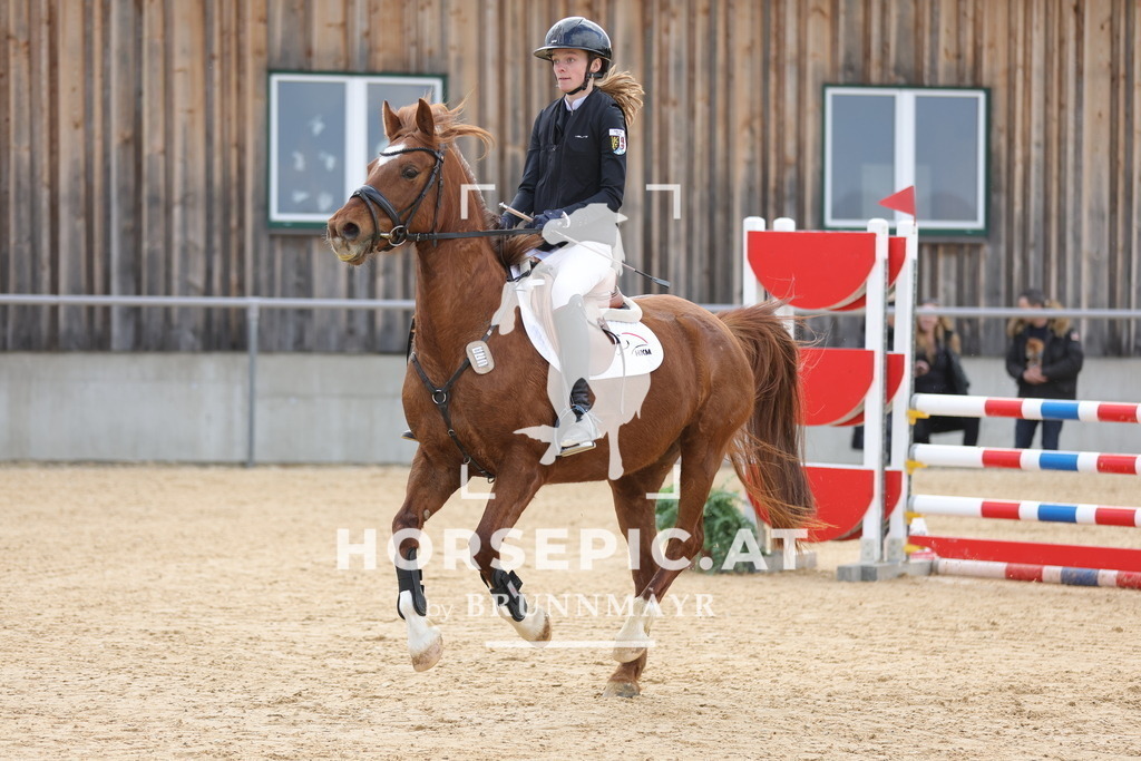 0P6A8103 | Willkommen bei Brunnmayr - Design & Fotografie – Ihrem Spezialisten für Reitturniere und Pferdeveranstaltungen in Oberösterreich, Salzburg und Bayern! Seit über 17 Jahren sind wir leidenschaftlich dabei.
